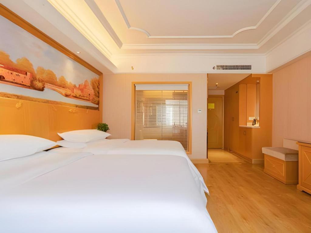 Vienna International Hotel Lhasa Potala Palace Eksteriør billede